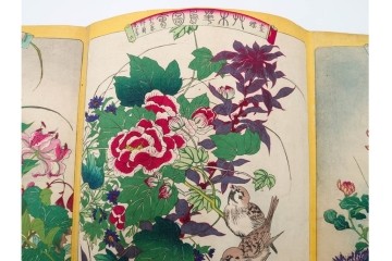 真作　暁山　「草木華鳥図会」　孔雀に雀・蝶など多彩な鳥虫草木花を描いた木版画6枚セット　(R-085908)