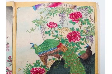 真作　暁山　「草木華鳥図会」　孔雀に雀・蝶など多彩な鳥虫草木花を描いた木版画6枚セット　(R-085908)