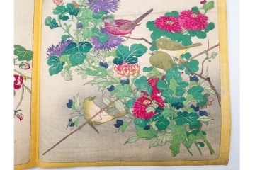 真作　暁山　「草木華鳥図会」　孔雀に雀・蝶など多彩な鳥虫草木花を描いた木版画6枚セット　(R-085908)