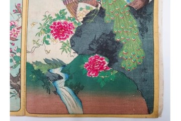 真作　暁山　「草木華鳥図会」　孔雀に雀・蝶など多彩な鳥虫草木花を描いた木版画6枚セット　(R-085908)
