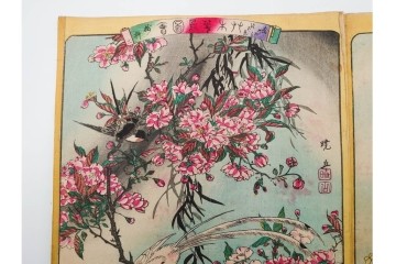 真作　暁山　「草木華鳥図会」　孔雀に雀・蝶など多彩な鳥虫草木花を描いた木版画6枚セット　(R-085908)
