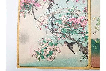 真作　暁山　「草木華鳥図会」　孔雀に雀・蝶など多彩な鳥虫草木花を描いた木版画6枚セット　(R-085908)