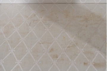 中古　美品　スペイン製　絵画装飾が優雅なキュリオケース　(R-085912)