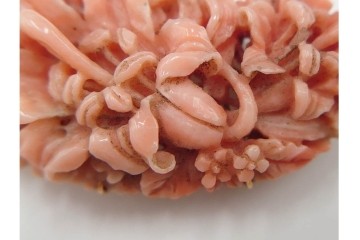 K18(18金)　繊細な百合の造形が見事な珊瑚彫刻の帯留　(R-085947)