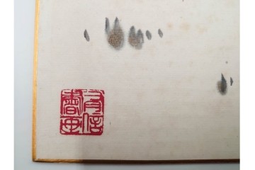 真作　中国　サイン付き　范有信(範有信)　色紙に描かれた水墨画の駱駝図2点セット　(R-085962)