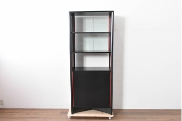 中古　希少モデル　Cassina(カッシーナ)　Brera(ブレラ)　ピエロ・デ・マルティーニ(Piero De Martini)　ガラス扉付きのキャビネット　(R-085995)