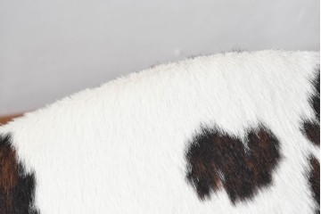 中古　美品　Cassina(カッシーナ)　本革　Le Corbusier(ル・コルビュジエ)が生んだ名作、LC4シェーズロング　定価約133万円　(R-086032)