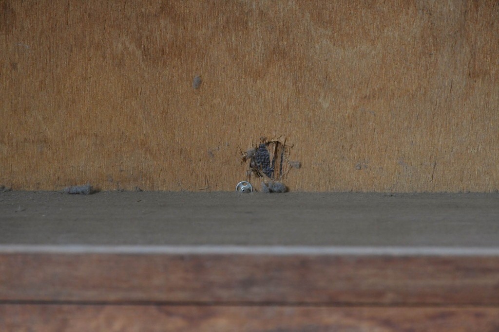 和製ヴィンテージ　たっぷり収納できるシンプルな木製本棚　(R-086037)