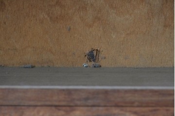 和製ヴィンテージ　たっぷり収納できるシンプルな木製本棚　(R-086037)