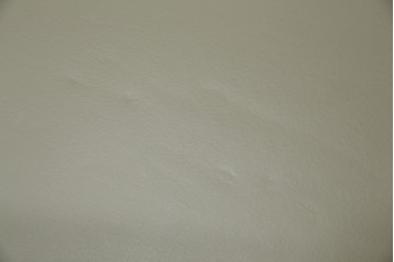 中古　美品　宮崎椅子製作所　村澤一晃デザイン　本革　チェリー材を使用したなめらかな曲線フレームのPePe(ペペ)アームチェア2脚　セット定価約20万6千円　(R-086047)