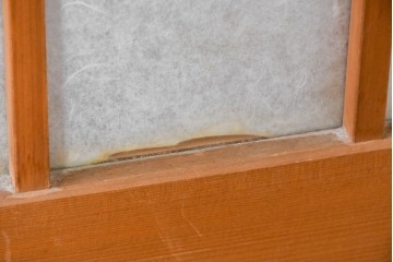 ヴィンテージ建具　昭和後期　端正な狐格子が整然と並ぶアクリル板入り引き戸2枚セット　(R-086051)