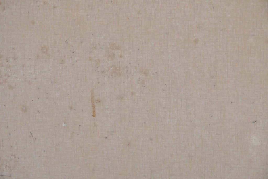 ヴィンテージ建具　昭和中期　組子細工が目を引く幅狭ガラス戸2枚セット　(R-086054)