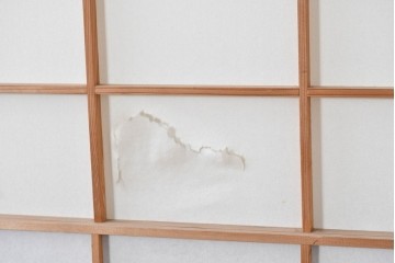 ヴィンテージ建具　昭和中期　高級品‼　腰板黒柿材　枠漆塗り　黒柿材ならではの個性的な杢目が目を引く雪見障子戸4枚セット　(R-086061)