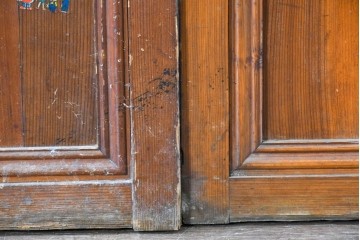 アンティーク建具　昭和初期から中期　細やかな格子とやわらかな光を通す裏ガラス入りの幅狭格子戸4枚セット　(R-086065)