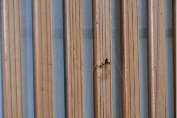 アンティーク建具　大正期　裏障子付き　味わいある木味が楽しめる幅狭格子戸4枚セット　(R-086067)