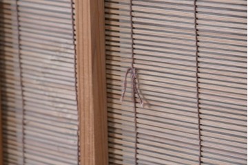 ヴィンテージ建具　昭和後期　細やかな簾とガラス窓が涼やかな簾戸2枚セット　(R-086069)