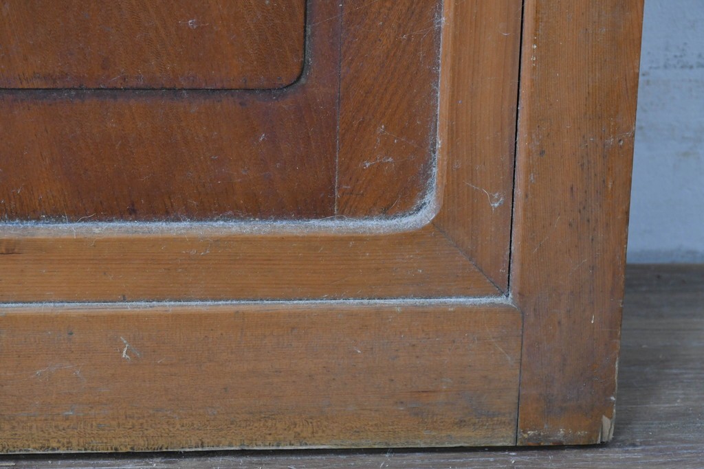 アンティーク建具　昭和初期から中期　欅(ケヤキ)材　鏡板の美しい木目が魅力のガラス戸1枚　(R-086078)