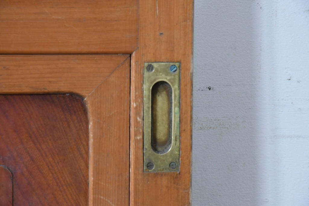 アンティーク建具　昭和初期から中期　欅(ケヤキ)材　鏡板の美しい木目が魅力のガラス戸1枚　(R-086078)