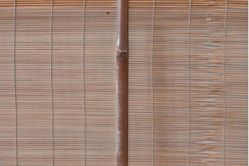 ヴィンテージ建具　昭和中期　木の表情が味わい深い夏戸1枚　(R-086084)