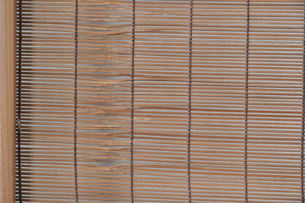 ヴィンテージ建具　昭和中期　木の表情が味わい深い夏戸1枚　(R-086084)