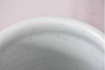 中国アンティーク　清朝時代後期　粉彩　緑地の唐草文に花文様が描かれた傘立て　(R-086117)