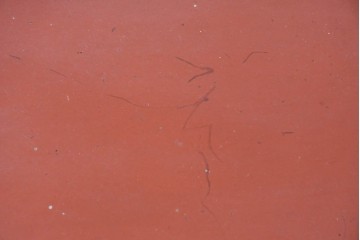 和製アンティーク　明治大正期　茶道具　牡丹の彫刻が施された朱塗りの袋棚　(R-086118)