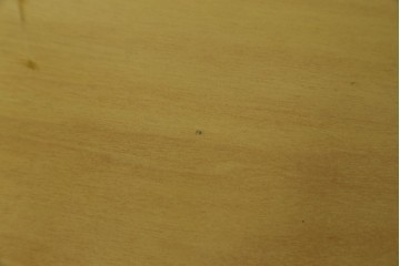 中古　arflex(アルフレックス)　NS2F　シンプルなデザインが魅力のダイニングテーブル　定価約25万円　(R-086228)