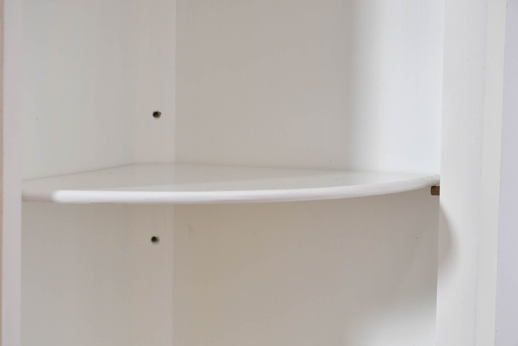 イタリアヴィンテージ　高級家具　ノバパルク(NOVAPLAK)　ロココ調の優美な装飾が魅力の照明付きミラーバックキャビネット　定価約180万円　(R-086253)