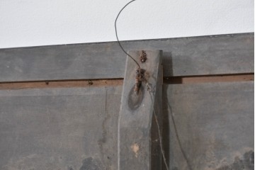 和製アンティーク　当時物　和漢薬「六物解毒丸」　戦前の薬屋の木製看板　(R-086276)