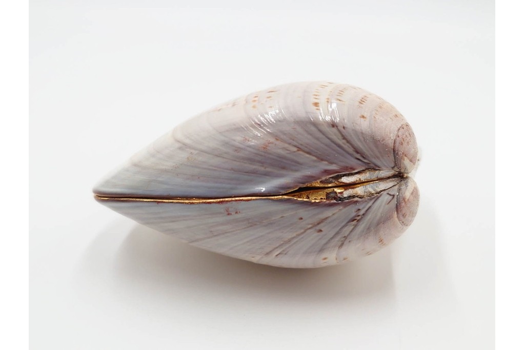 千家十職　塗師 中村宗哲　海松貝絵が美しい蒔絵の蛤香合　共箱付き　(R-086292)