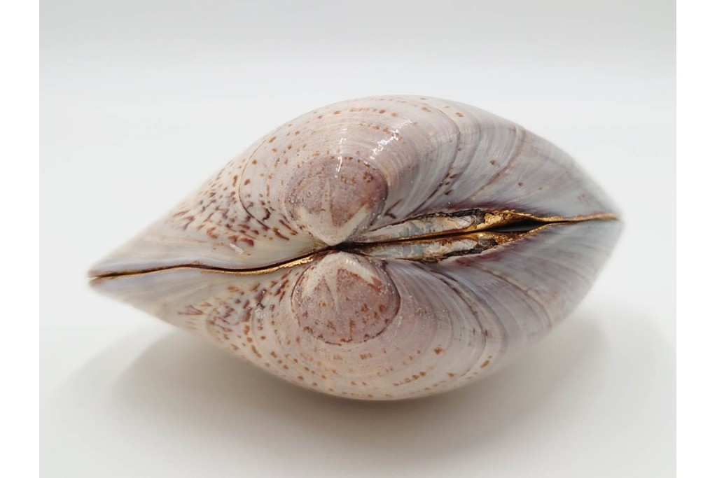 千家十職　塗師 中村宗哲　海松貝絵が美しい蒔絵の蛤香合　共箱付き　(R-086292)