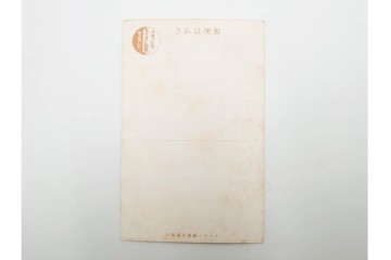 戦前　グリコ・森永・明治チョコレート・ライオン歯磨・カルピス・特別大演習観艦式などの絵葉書19枚セット　(R-086299)