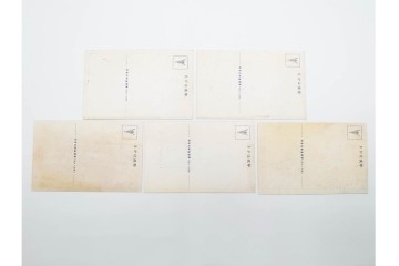 戦前　グリコ・森永・明治チョコレート・ライオン歯磨・カルピス・特別大演習観艦式などの絵葉書19枚セット　(R-086299)