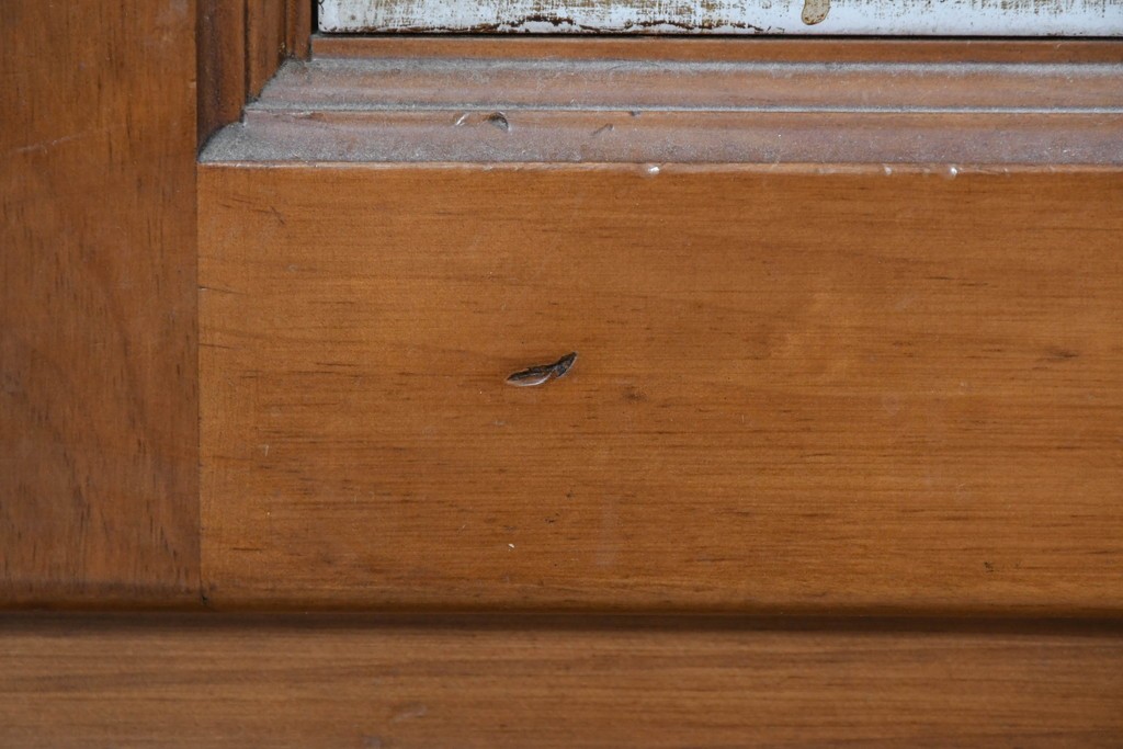 中古　美品　希少な廃番品　ACTUS(アクタス)取り扱い　バレンシアシリーズ　花柄タイルが愛らしいパイン材カップボード　(R-086313)