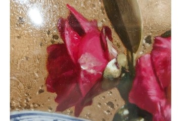 真作　青木敏郎　「椿と楽譜」　油彩画　SM(S)サイズ　定価約189万円　外箱付き　(R-086372)