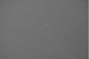 中古　超美品　モデルルーム展示品　希少な廃番品　calligaris(カリガリス)　フォルムの美しいジャングルダイニングテーブル　定価約42万円　(R-086403)