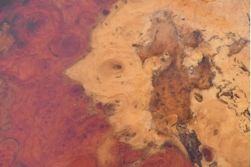 和製ヴィンテージ　花梨(カリン)材　天板の鳥眼杢と自然な輪郭が魅力の座卓　(R-086404)