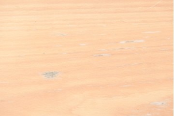 デンマークヴィンテージ　FRITZ HANSEN(フリッツハンセン)　数学的曲線でデザインされたスーパー円テーブル　現行定価約34万円　(R-086406)