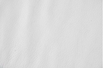 中古　KELVIN GIORMANI(ケルビン・ジョルマーニ)　本革　流れるような曲線が美しいカーブソファ　定価約38万円　(R-086415)