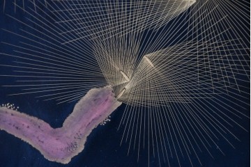 中古　在銘　輪島塗　蒔絵で鯉の滝登りを描いた衝立て　定価約150万円　(R-086435)