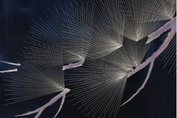 中古　在銘　輪島塗　蒔絵で鯉の滝登りを描いた衝立て　定価約150万円　(R-086435)