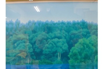 真作　東山魁夷　EA版　「緑映」　透明感ある色彩が魅力のセリグラフ(シルクスクリーン)　外箱付き　(R-086457)