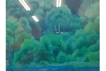 真作　東山魁夷　EA版　「緑映」　透明感ある色彩が魅力のセリグラフ(シルクスクリーン)　外箱付き　(R-086457)