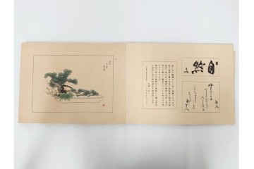 昭和2年　審美書院　武田朴陽 著　「御國乃花」　日本の花意匠を題材とした木版画集　春夏秋冬3冊揃+総論・解説のセット　(R-086466)