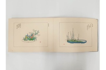 昭和2年　審美書院　武田朴陽 著　「御國乃花」　日本の花意匠を題材とした木版画集　春夏秋冬3冊揃+総論・解説のセット　(R-086466)