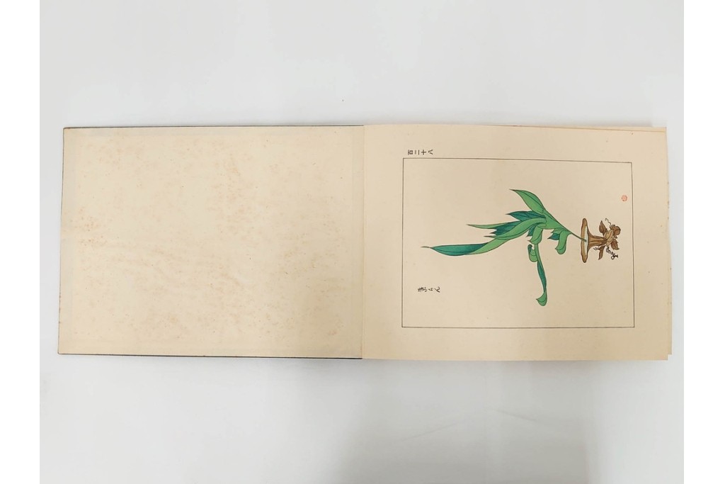 昭和2年　審美書院　武田朴陽 著　「御國乃花」　日本の花意匠を題材とした木版画集　春夏秋冬3冊揃+総論・解説のセット　(R-086466)