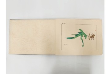 昭和2年　審美書院　武田朴陽 著　「御國乃花」　日本の花意匠を題材とした木版画集　春夏秋冬3冊揃+総論・解説のセット　(R-086466)