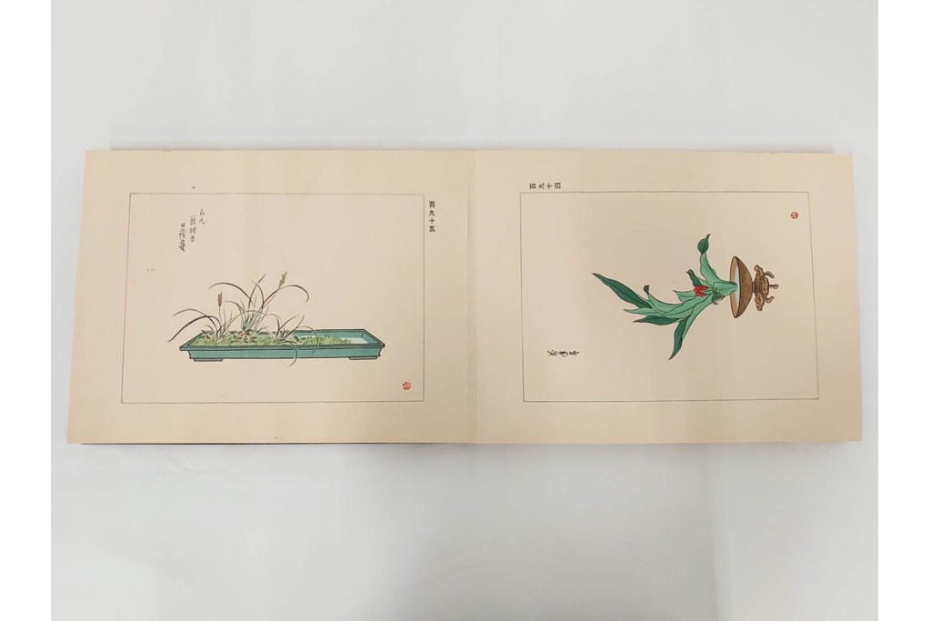 昭和2年　審美書院　武田朴陽 著　「御國乃花」　日本の花意匠を題材とした木版画集　春夏秋冬3冊揃+総論・解説のセット　(R-086466)