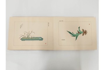 昭和2年　審美書院　武田朴陽 著　「御國乃花」　日本の花意匠を題材とした木版画集　春夏秋冬3冊揃+総論・解説のセット　(R-086466)