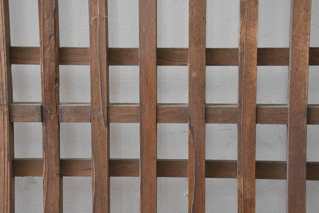 アンティーク建具　明治から大正期　木味豊かな風合いと細格子が美しい格子蔵戸1枚　(R-086496)